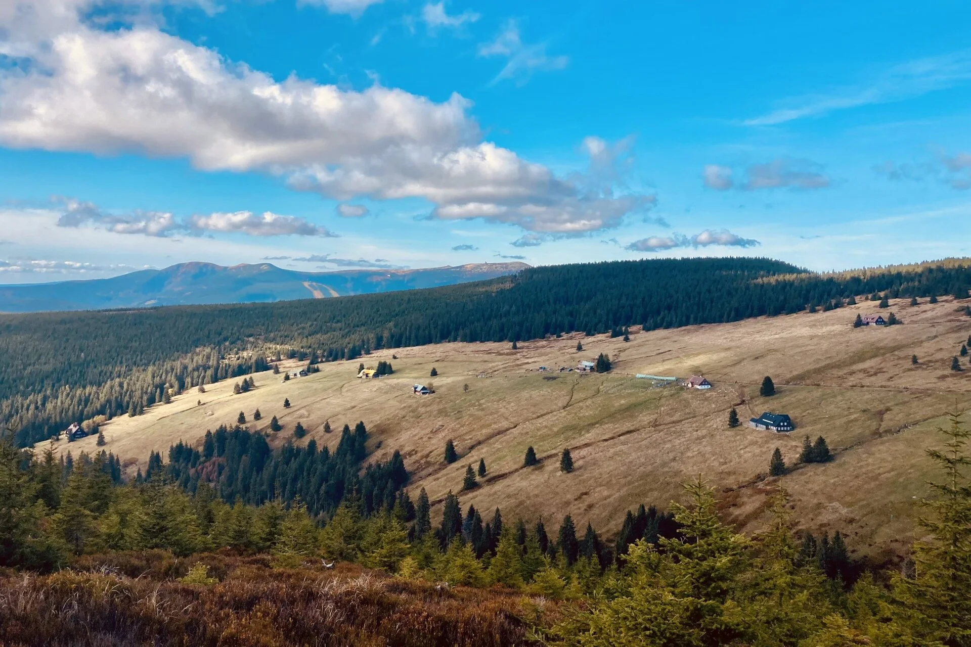 Krkonoše nad Malým Labem